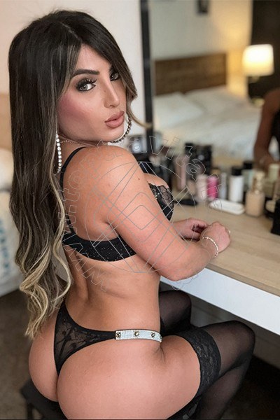 Sofy PISA