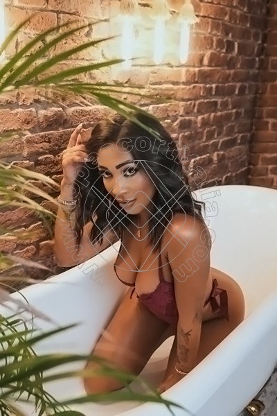 Angel hott BUSTO ARSIZIO