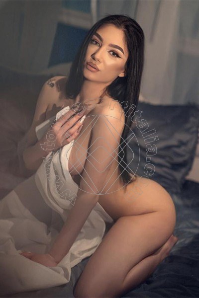 Shirley Model MESTRE